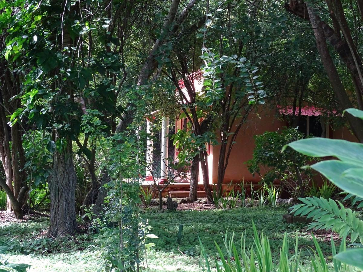 The Flycatcher Inn Retreat Hotel Santa Elena Exterior foto