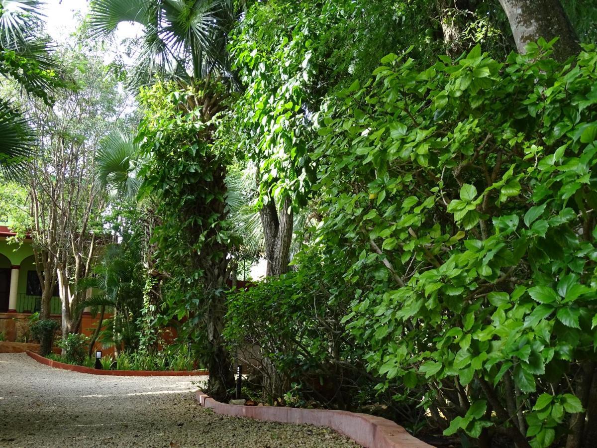 The Flycatcher Inn Retreat Hotel Santa Elena Exterior foto